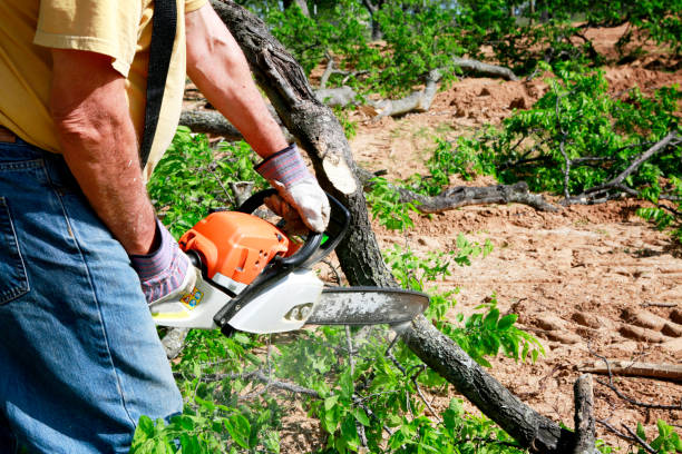 Best Commercial Tree Services  in Navesink, NJ